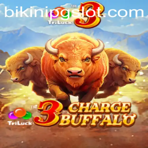 The Adventurous World of 3ChargeBuffalo and the Rising Newcomer BIKINIPG